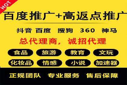 百度竞价与搜索引擎优化（SEO）结合的经典案例